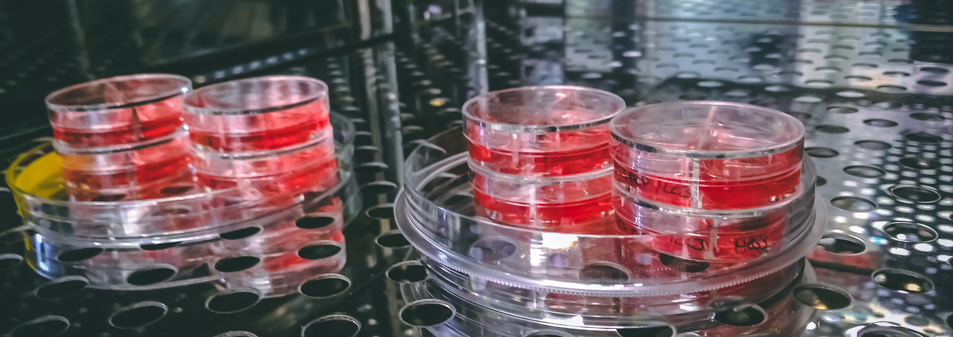 How to Accurately Measure CO2 in Life Science Incubators Vaisala